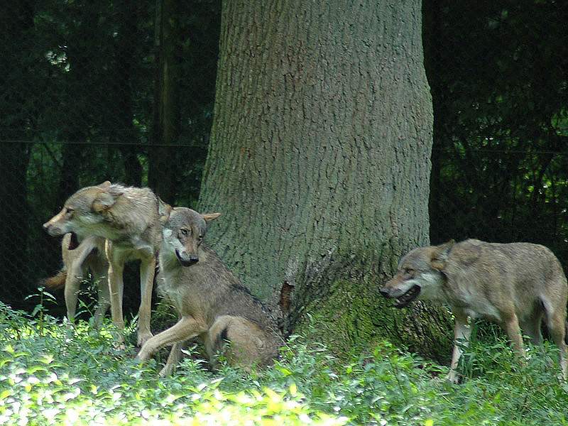 DSC_32602.jpg