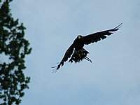 DSC_32396.jpg