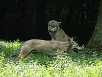 DSC_32611.jpg