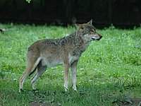 DSC_32659.jpg