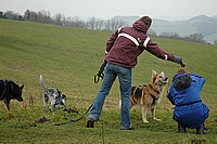 DSC_5689.jpg