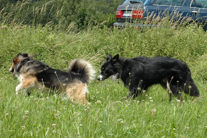 Treffen in Angenrod bei Alsfeld