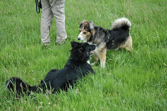 Treffen in Angenrod bei Alsfeld