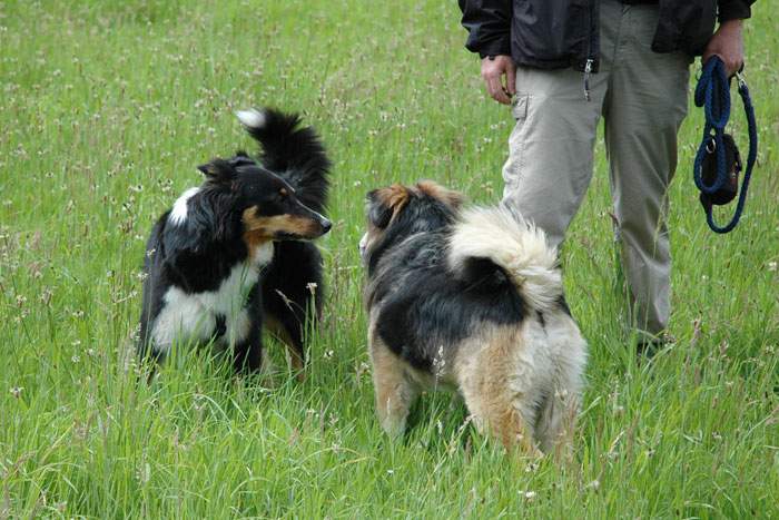 Treffen in Angenrod bei Alsfeld