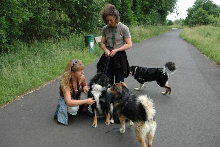 Treffen in Angenrod bei Alsfeld