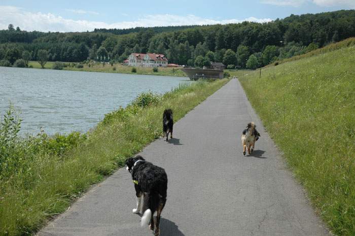 Treffen in Angenrod bei Alsfeld