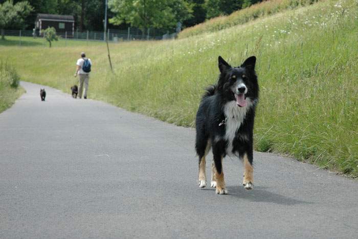 Treffen in Angenrod bei Alsfeld