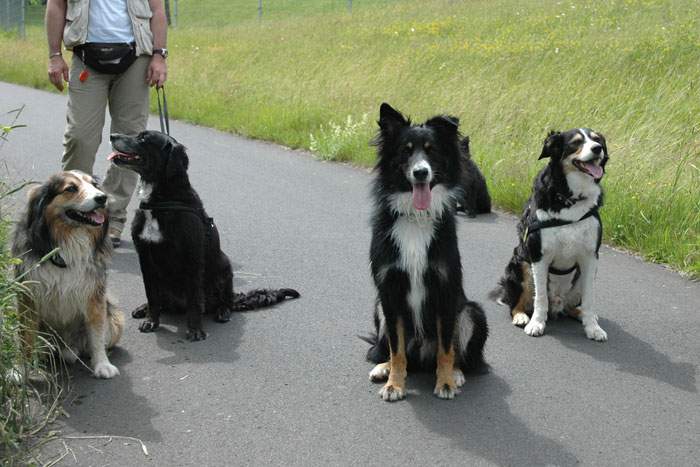 Treffen in Angenrod bei Alsfeld