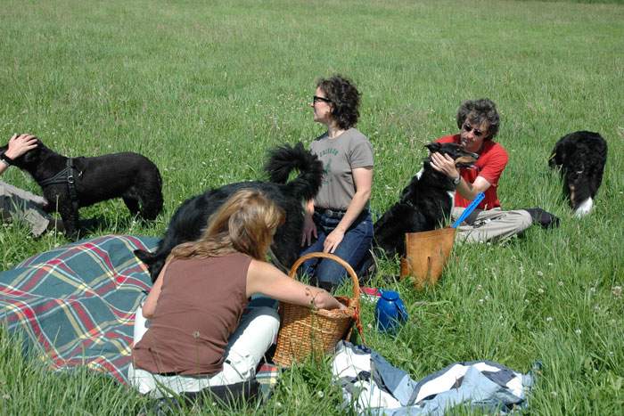 Treffen in Angenrod bei Alsfeld