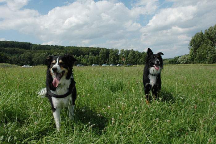 Treffen in Angenrod bei Alsfeld