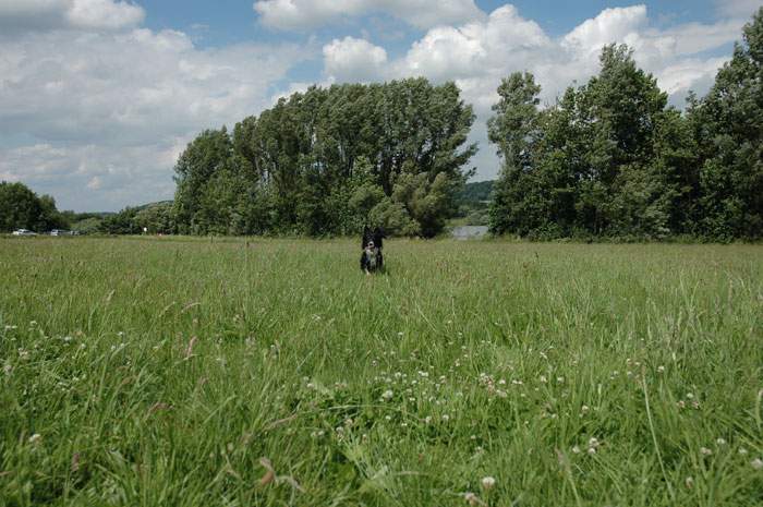 Treffen in Angenrod bei Alsfeld