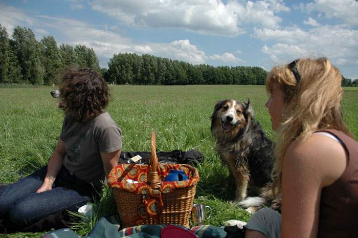 Treffen in Angenrod bei Alsfeld