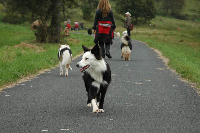 Treffen in Angenrod bei Alsfeld