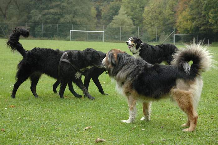 Treffen in Angenrod bei Alsfeld