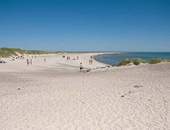 Grenen