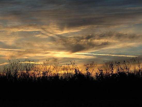 DSC_6520.jpg
