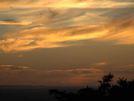 DSC_6528.jpg
