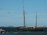 DSC_6361.jpg
