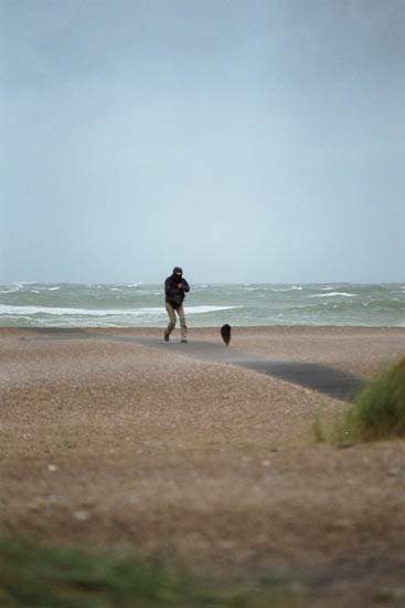 imm017_15A.jpg