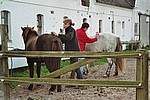 imm018.jpg