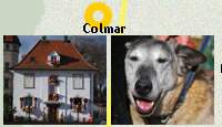 Colmar