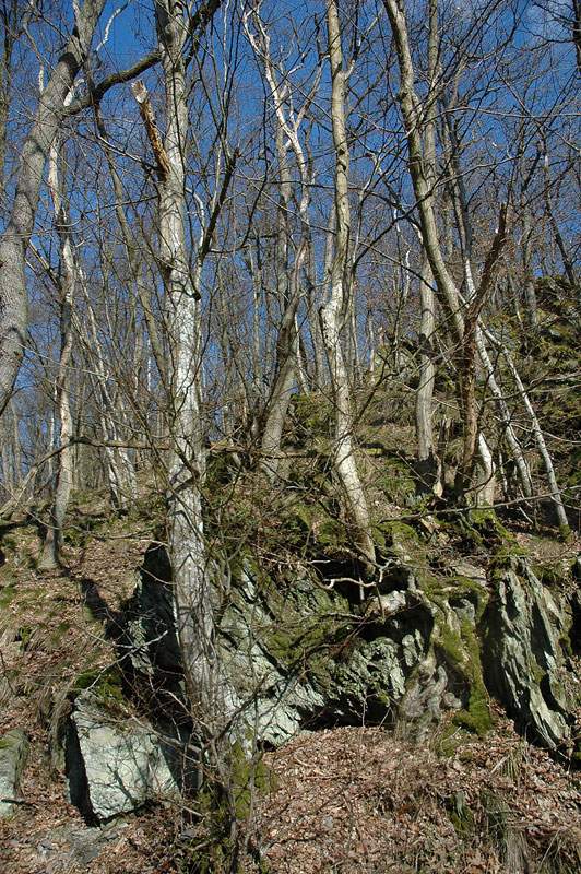 DSC_9177.jpg