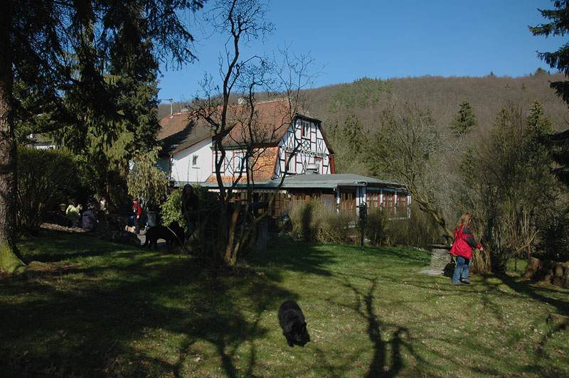 DSC_9246.jpg
