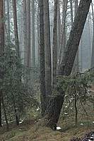 DSC_18885.jpg