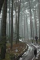 DSC_18886.jpg