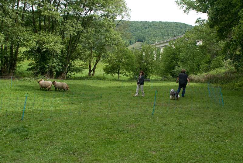 DSC_2286.jpg
