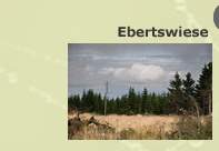 Ebertswiese