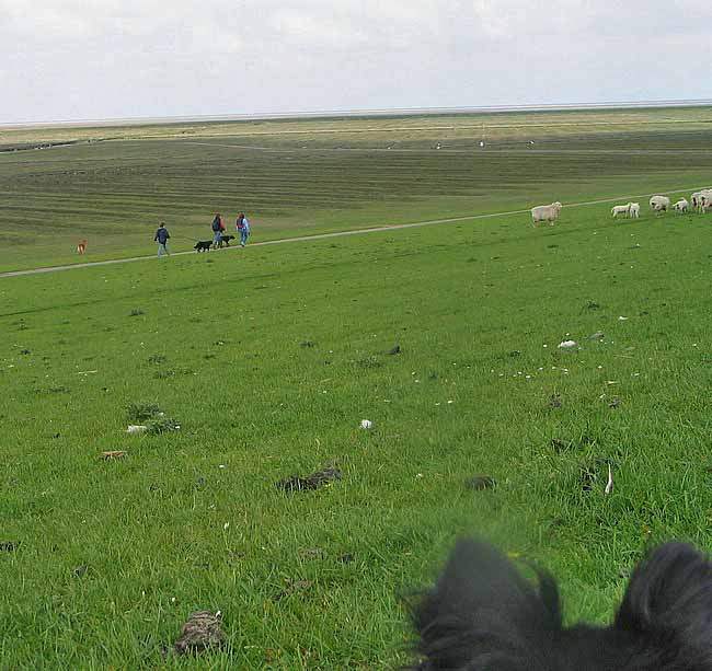040514-102830.jpg
