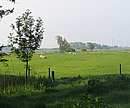 040514-084544 - 122 KB