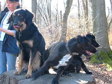 Hihi, Lotti brav. Mila und Marek haben da was anderes entdeckt