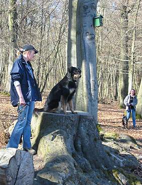 Daher: Lotti nun allein, ganz brav auf dem Baumstamm