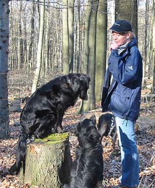 Mila auf Baumstamm, daneben Lotti