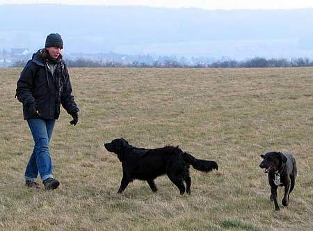 Silke, Marek und  und und