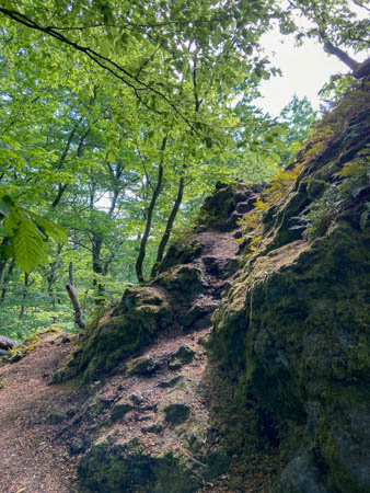 hochklettern zur Firnskuppe