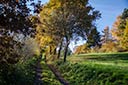 Apfelmarkt Naumburg und Cafe Hasenacker