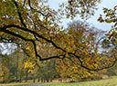 Herbst im Bergpark