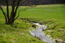 Watter bei Volkardinghausen