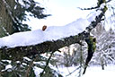 Bergpark