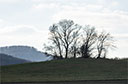 Hohlestein