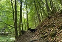 Ahneklamm und Igelsburgruine