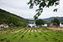 Firnsbachtal, Herbsthaus, Vogelkirschen