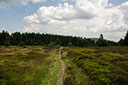 Rothaarsteig, Hochheide