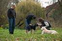 Becki, Loni, Benni und Bolle - sowie Lourdes