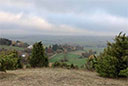 Dörnbergwiesen, Nebel, kleiner Dörnberg