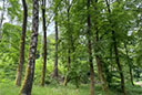 Bismarckturm