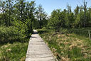 Hochmoor Hühnerfeld und mittelalterliches Dorf Steinrode